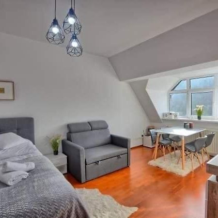 A504 Apartman Krynica-Zdrój Kültér fotó