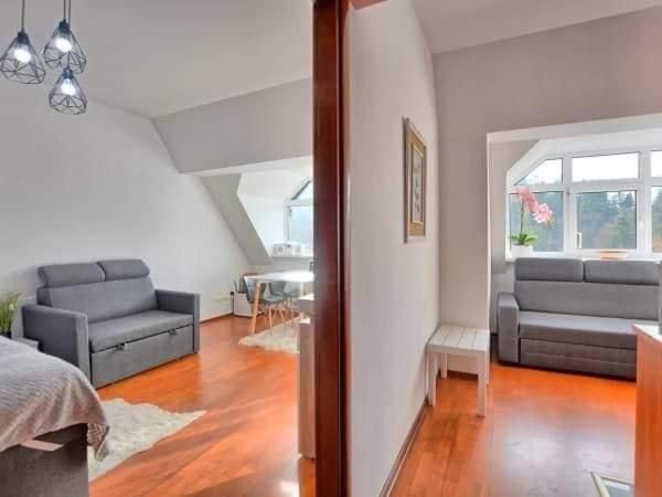 A504 Apartman Krynica-Zdrój Kültér fotó