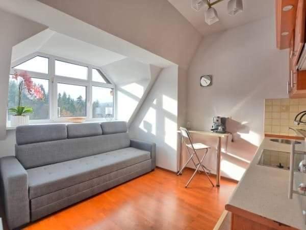 A504 Apartman Krynica-Zdrój Kültér fotó